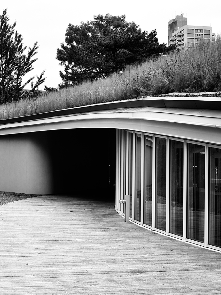 131112_CANON_S110_022-1_BW